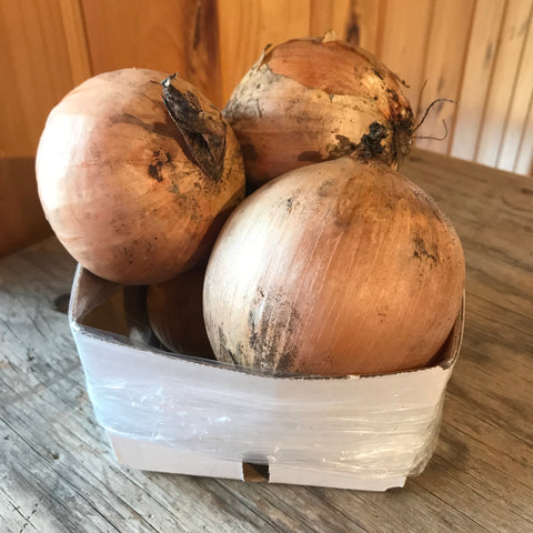 Onions 1 Quart